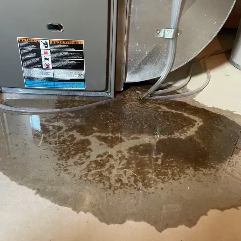 Appliance Leak Cleanup in Jackson County, IA